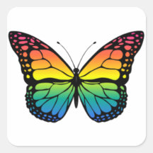 Regenboogvlinder