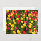 Regenboogvloerbedekking Briefkaart (Voorkant / Achterkant)