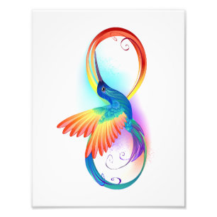 Regenboogvogel met oneindige symbolen foto afdruk