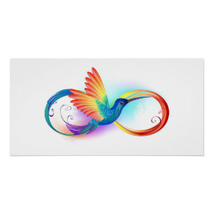 Regenboogvogel met oneindige symbolen perfect poster