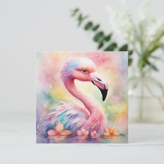 Regenboogvogels Flamingo 1 (Staand voorkant)