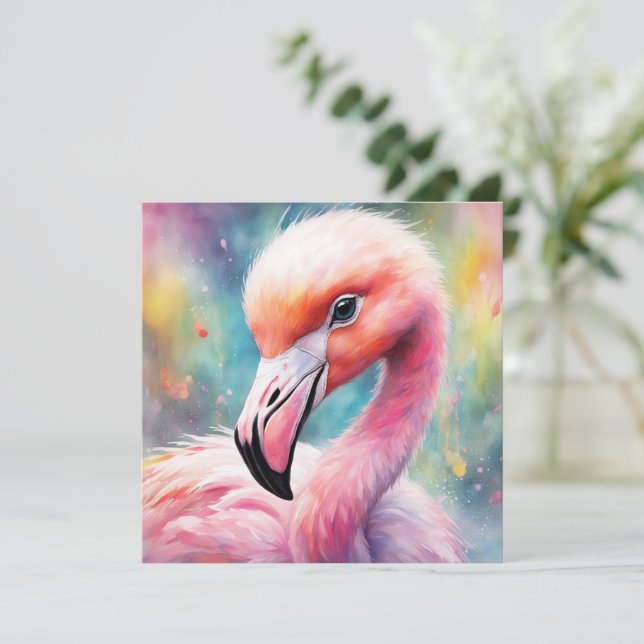 Regenboogvogels Flamingo 2 (Staand voorkant)