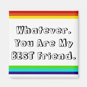 regenboogvriendschap magnet