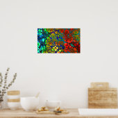 regenboogweb poster (Keuken)