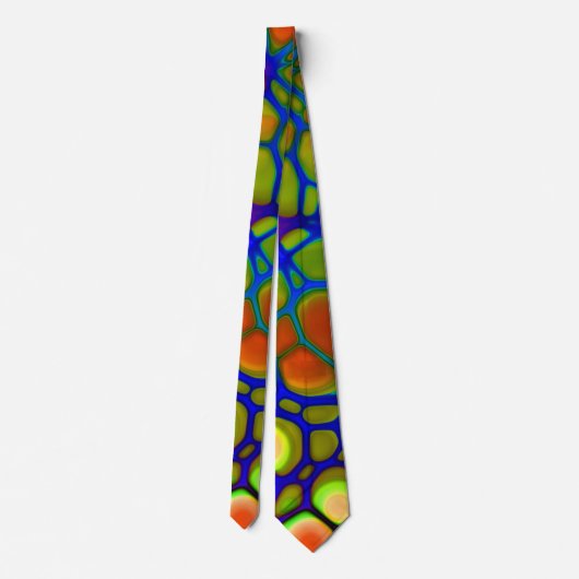 regenboogweb stropdas (Achterkant)