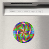 Regenboogwiel.... Magneet (Insitu (Vaatwasser))