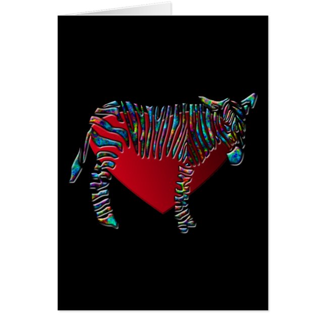 RegenboogZebra (Voorkant)