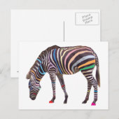 RegenboogZebra Briefkaart (Voorkant / Achterkant)