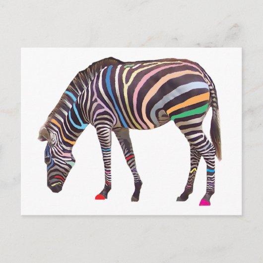 RegenboogZebra Briefkaart (Voorkant)