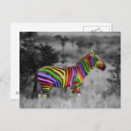 RegenboogZebra Briefkaart (Voorkant / Achterkant)