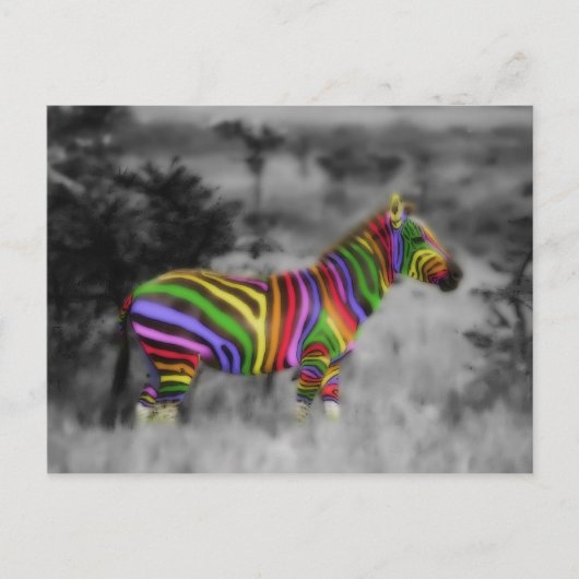 RegenboogZebra Briefkaart (Voorkant)
