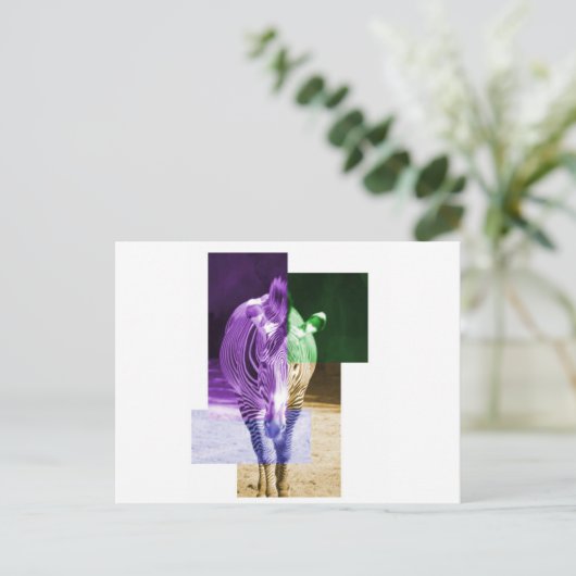 RegenboogZebra Briefkaart (Staand voorkant)