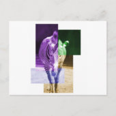 RegenboogZebra Briefkaart (Voorkant)