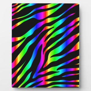 regenboogzebra fotoplaat