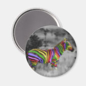 RegenboogZebra Magneet (Voorkant / Achterkant)