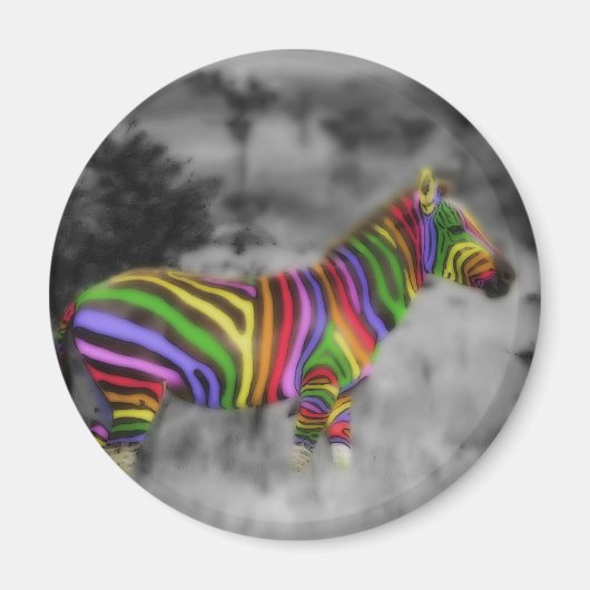 RegenboogZebra Magneet (Voorkant)