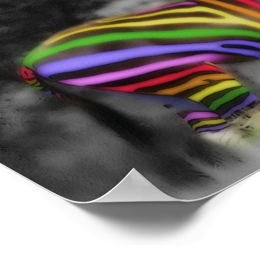 RegenboogZebra Poster (Hoek)