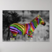 RegenboogZebra Poster (Voorkant)