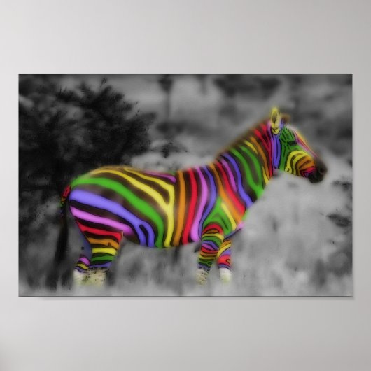 RegenboogZebra Poster (Voorkant)