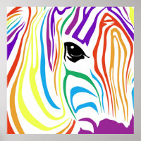 RegenboogZebra Poster