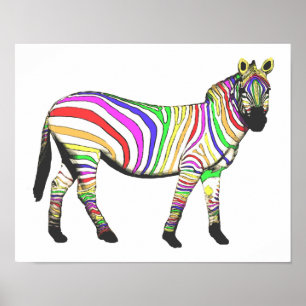 RegenboogZebra Poster
