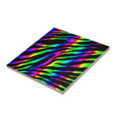 regenboogzebra tegeltje (Zijkant)