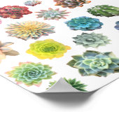 Regenboogzuinig afdrukken poster (Hoek)