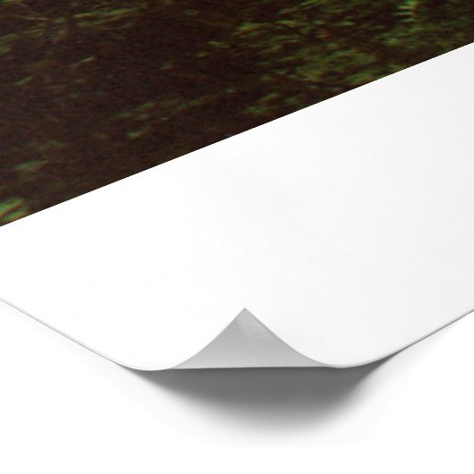 Regenbos Poster (Hoek)