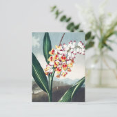 Regency stijl wit geel exotisch bloemendecor briefkaart (Staand voorkant)