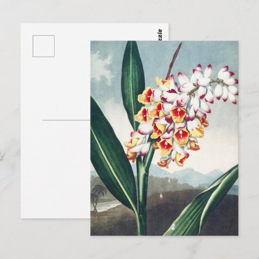 Regency stijl wit geel exotisch bloemendecor briefkaart (Voorkant / Achterkant)