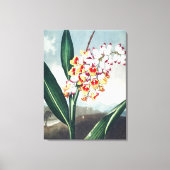 Regency stijl wit geel exotisch bloemendecor canvas afdruk (Voorkant)