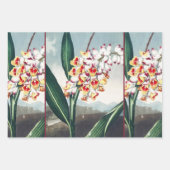 Regency stijl wit geel exotisch bloemendecor inpakpapier vel (Voorkant)