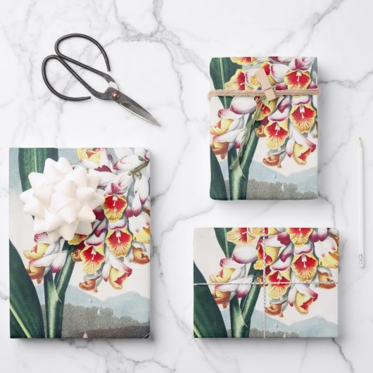 Regency stijl wit geel exotisch bloemendecor inpakpapier vel (Voorkant)
