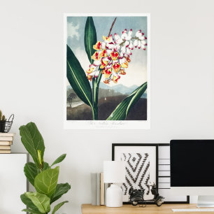Regency stijl witte gele exotische bloemendecorati poster