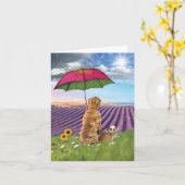 Regende honden worden beter kaart (Gele Bloem)