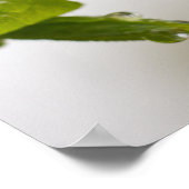 Regendruppel (mat) poster (Hoek)