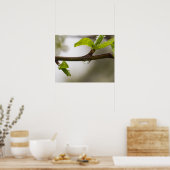 Regendruppel (mat) poster (Keuken)