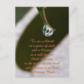 Regendruppel op blad om het citaat van World Blake Briefkaart (Voorkant)