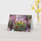 Regendruppel op Succulent Kaart (Gele Bloem)
