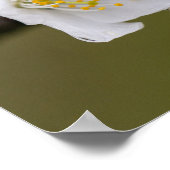 Regendruppel Poster Papier (Matte) (Hoek)