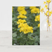 regendruppels en gemarigde bloemen kaart (Gele Bloem)