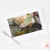 Regendruppels op blad rechthoekige sticker (Envelop)