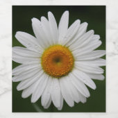 Regendruppels op Bloemblaadjes Wijn Etiket (Enkel label)