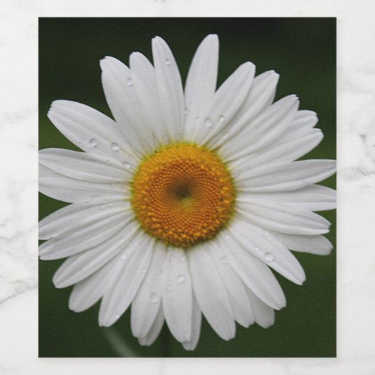 Regendruppels op Bloemblaadjes Wijn Etiket (Enkel label)