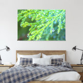 Regendruppels op ceder canvas afdruk (Insitu (Slaapkamer))