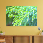 Regendruppels op ceder canvas afdruk (Insitu (Woonkamer))