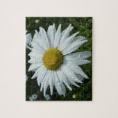 Regendruppels op Daisy II wilde bloem bloem Legpuzzel (Verticaal)