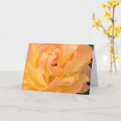 Regendruppels op de lege kaart van Rozen (Gele Bloem)