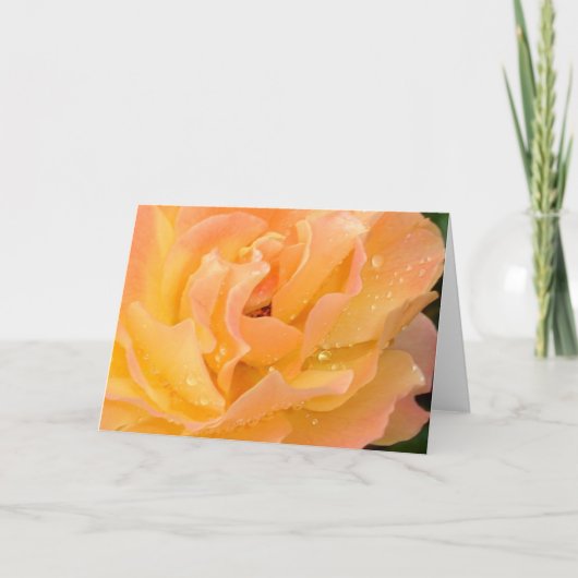 Regendruppels op de lege kaart van Rozen (Voorkant)