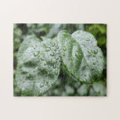 Regendruppels op donkergroene bladeren legpuzzel (Horizontaal)